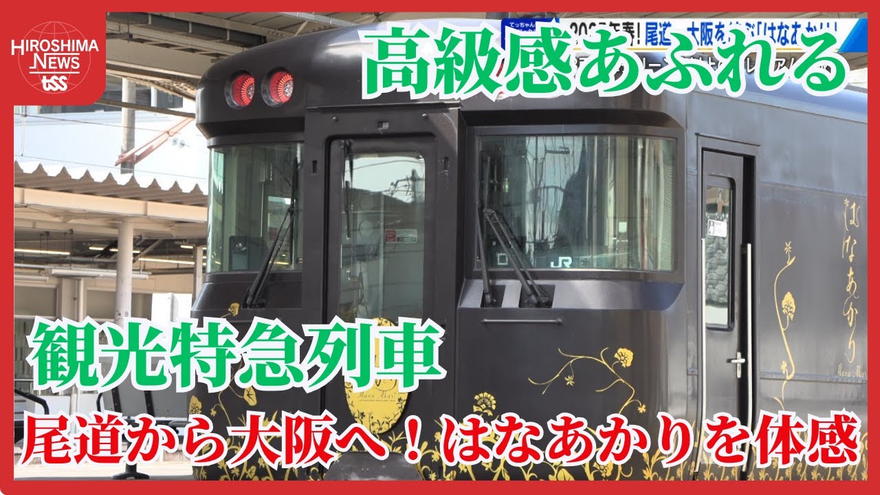 JR Sightseeing Train 