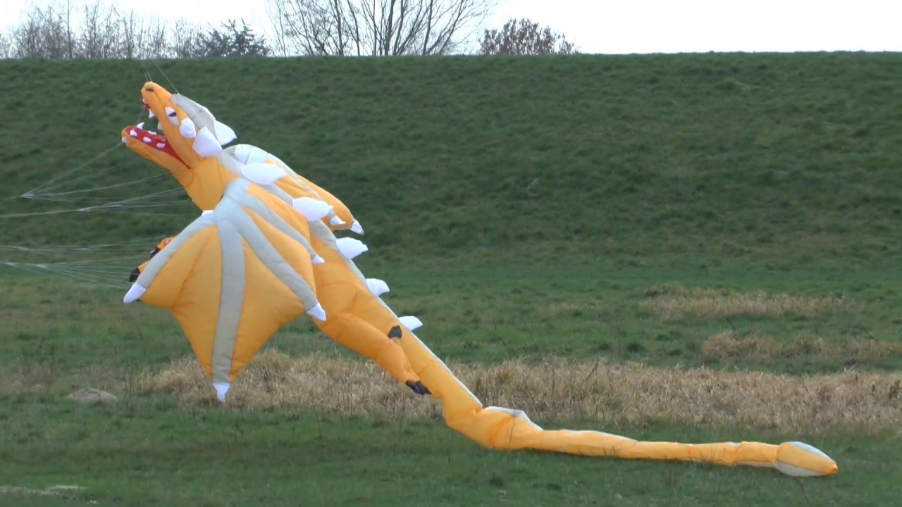 Dragon Kite I