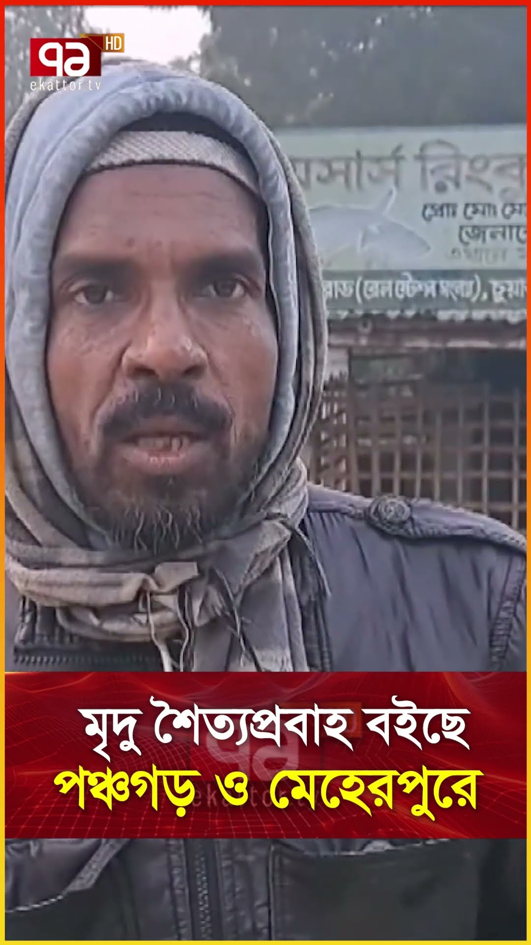 মৃদু শৈত্যপ্রবাহ বইছে পঞ্চগড় ও মেহেরপুরে