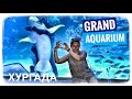 Египет 2021 🇪🇬#12 Хургада Grand aquarium. Самый большой Гранд аквариум. Куда пойти в Хургаде? Отдых