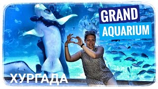 Египет 🇪🇬#12 Хургада Grand aquarium. Самый большой Гранд аквариум. Куда пойти в Хургаде? Отдых Egypt