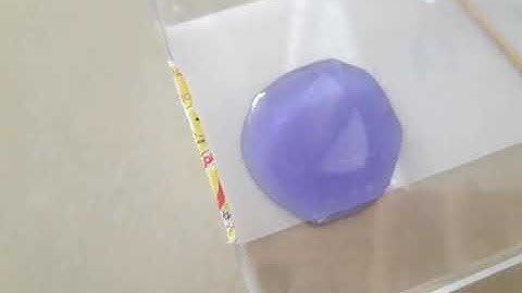 Màu hoa đậu biếc mix Nước cốt chanh🍋 / Hóa học / Cách thực hiện ở phần mô tả