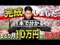 【リサーチ→仕入れ→販売】せどり初心者が今年中に月10万円稼ぐ行動全て