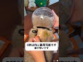 猫ちゃん爪切り時に噛み付く?スペースヘルメットをつければ、おとなしくさせられる~ #猫のヘッドカバーをなめないで#獣医推薦ペット用品#咬傷防止神器#猫#猫清潔