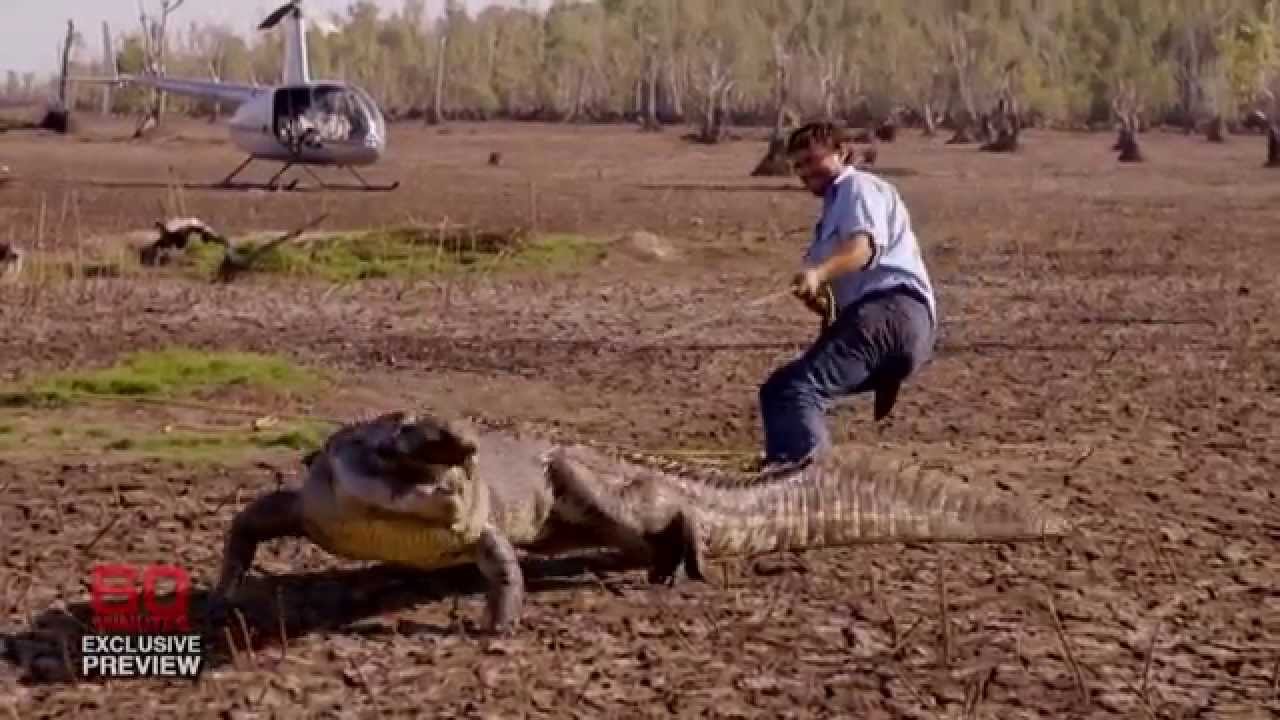  SUNDAY | The Croc Wrangler - YouTube