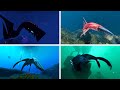 All Creatures & Their Death Animations | Subnautica: Below Zero Full Release