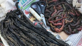 Beach Fishing BAIT CHALLENGE - Fresh Worm v Frozen Worm!