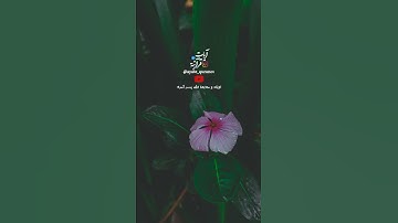 آيات من سورة الكهف 🧡 جمعة مباركة 🧡