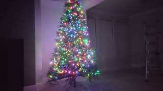 Christmas Tree 2023