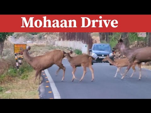 Mohaan Drive  jimcorbett sunderkhal to Mohaan Drive