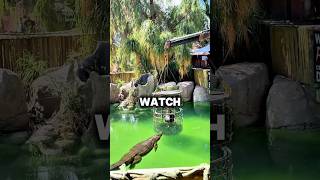 One Glass Between You And Death