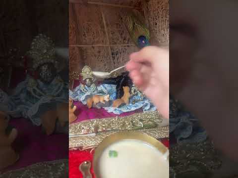 Lalla ko kheer kha kr anand agaya #viral #shyam #trending #shorts #radheshyam b