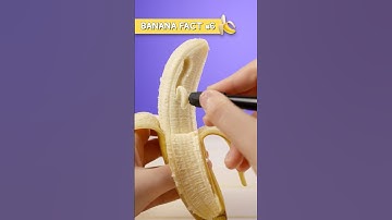 Bite Into These Banana Facts!