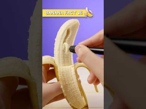 Bite Into These