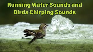 Ultimate Relaxation: Running Water Sounds and Birds are Chirping Sounds