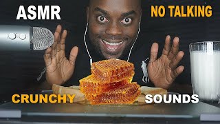 BEAST FEAST DESTROYS 1LB OF RAW HONEYCOMB ASMR