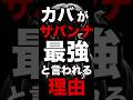 【閲覧注意】カバがサバンナ最強な本当の理由！#生き物雑学 #動物雑学 #カバ