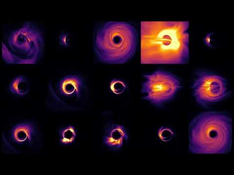 PRIMO Black Hole Simulations