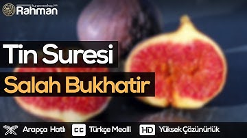 Tin Suresi - Salah Bukhatir صلاح بوخاطر سورة التين
