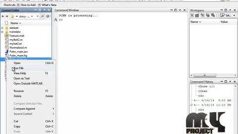 Final Year Projects | On-line fast palmprint identification based on adaptive