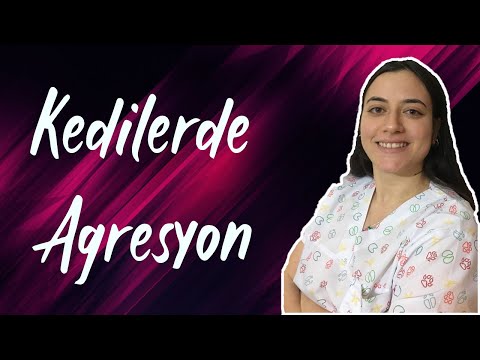 Video: Bir Kedi Neden Saldırganlık Gösteriyor?