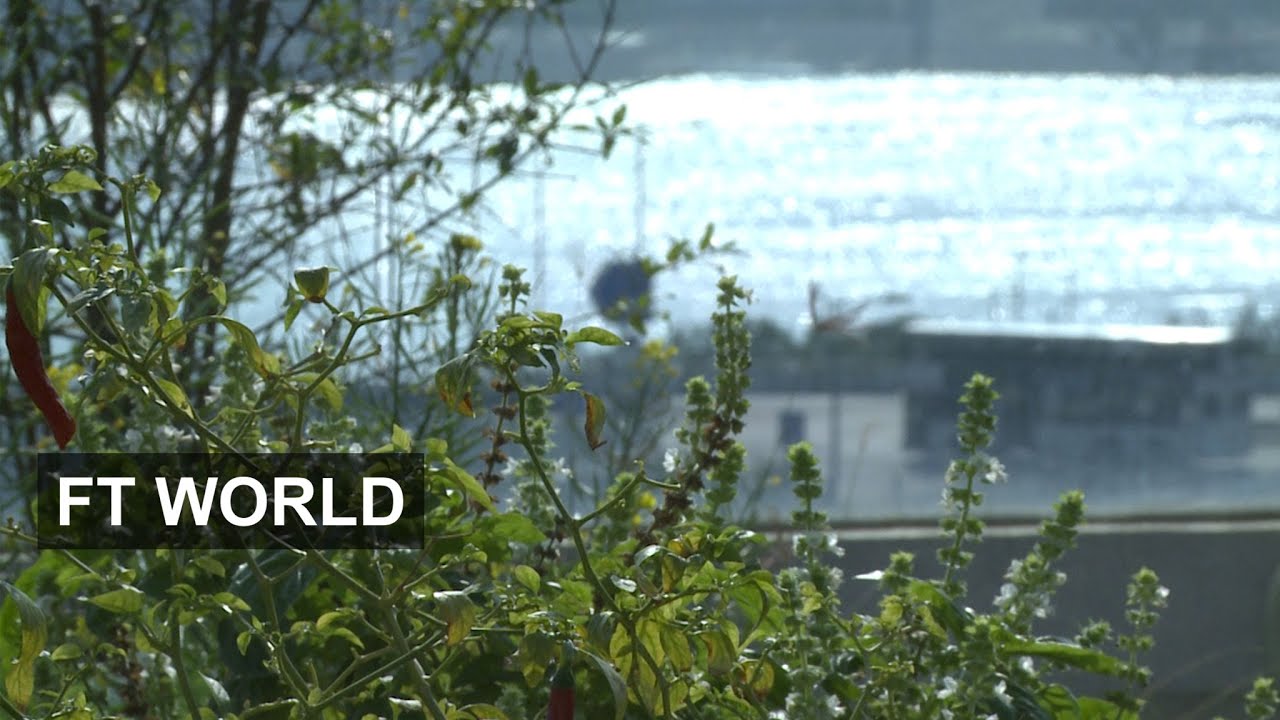 Film backdrop image for Hong Kong's urban farms (2016)