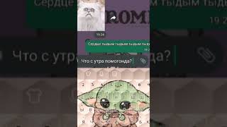 ШИПУЧИЙ ХАШ! 🤣