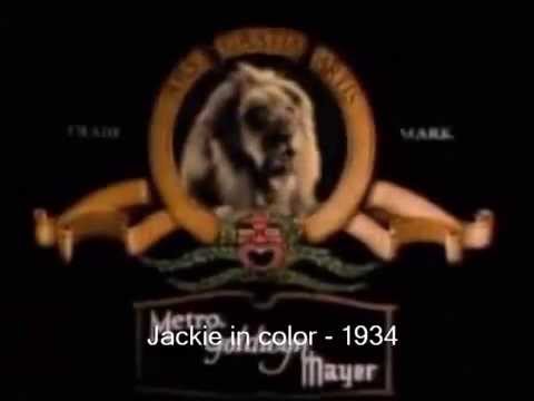 История заставки Metro-Goldwyn-Mayer.