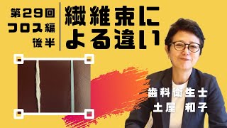 第29:繊維束による違い[フロス編 後半]