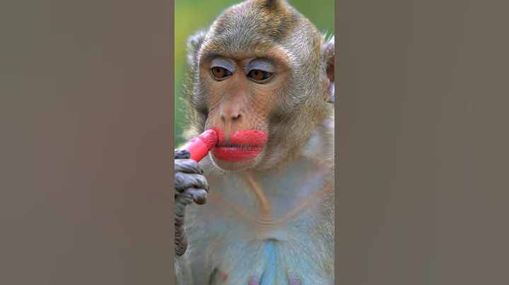 Monkey makeup 🐵💄#viralvideo #funny #shorts #makeup