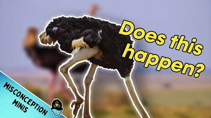Do Ostriches Really Stick Their Heads in the Sand?
