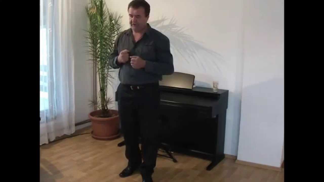 Tamburalo Momce U Tamburu Josip Jelenčić YouTube