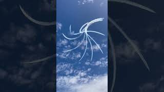 Amazing Black Eagle squadron display! #airshow #planes #stunt #blackeagles Amazing Black Eagle squadron display! #airshow #planes #stunt #blackeagles