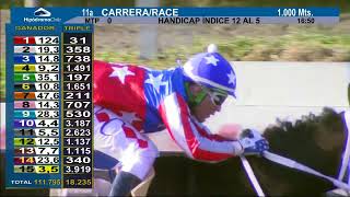 Vidéo de la course PMU PRIX EL TEPUAL