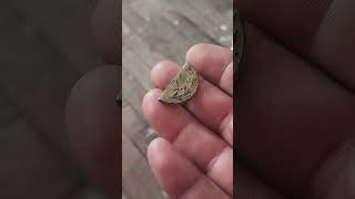 Kiralayacağım Evi Gezerken Ne Buldum