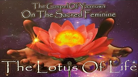 Tʜᴇ Sᴀᴄʀᴇᴅ Fᴇᴍɪɴɪɴᴇ Pᴀʀᴛ 1 - Pᴀᴀ Nᴀʙᴀʙ Yᴀᴀɴᴜᴡɴ