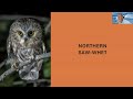 Why We Love Birds: 52 Birders on Birding - Scott Harris