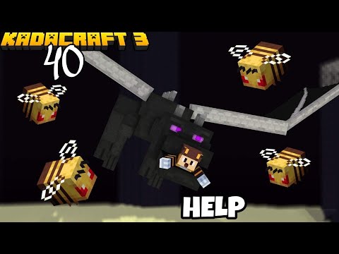 KadaCraft 3 Ep 40 : 1000 Bees Vs 20 Ender Dragons