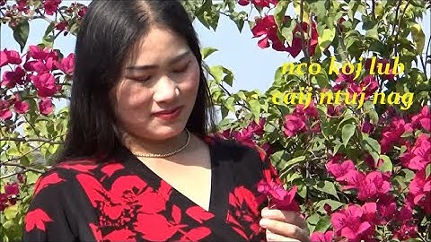 lub caij ntuj nag xav kom muaj koj los puag kuv pw