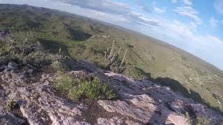 Anquincila - Catamarca