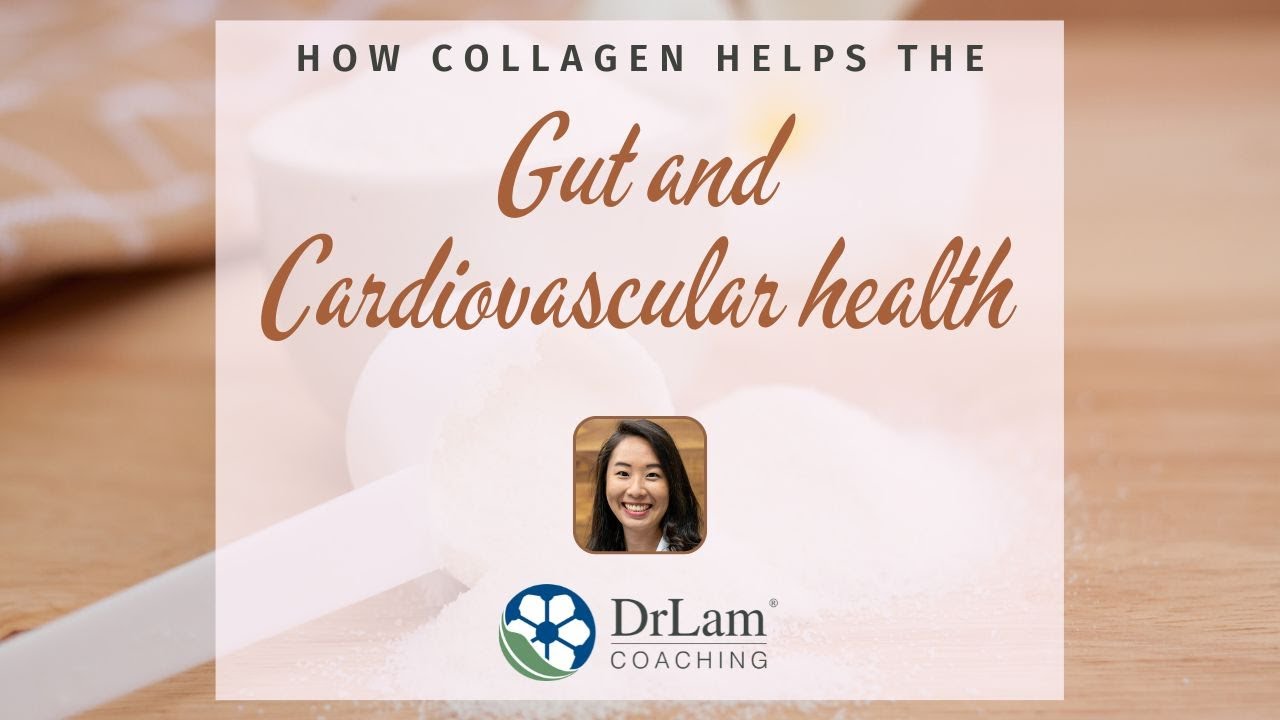 How Collagen Helps The Gut And Cardiovascular Health