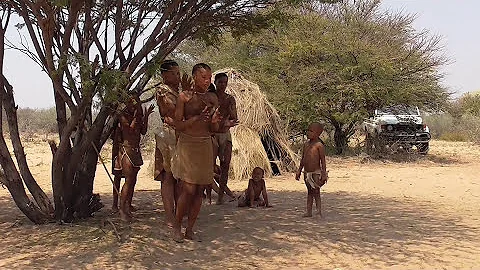 Walk with Bushmen - Kalahari