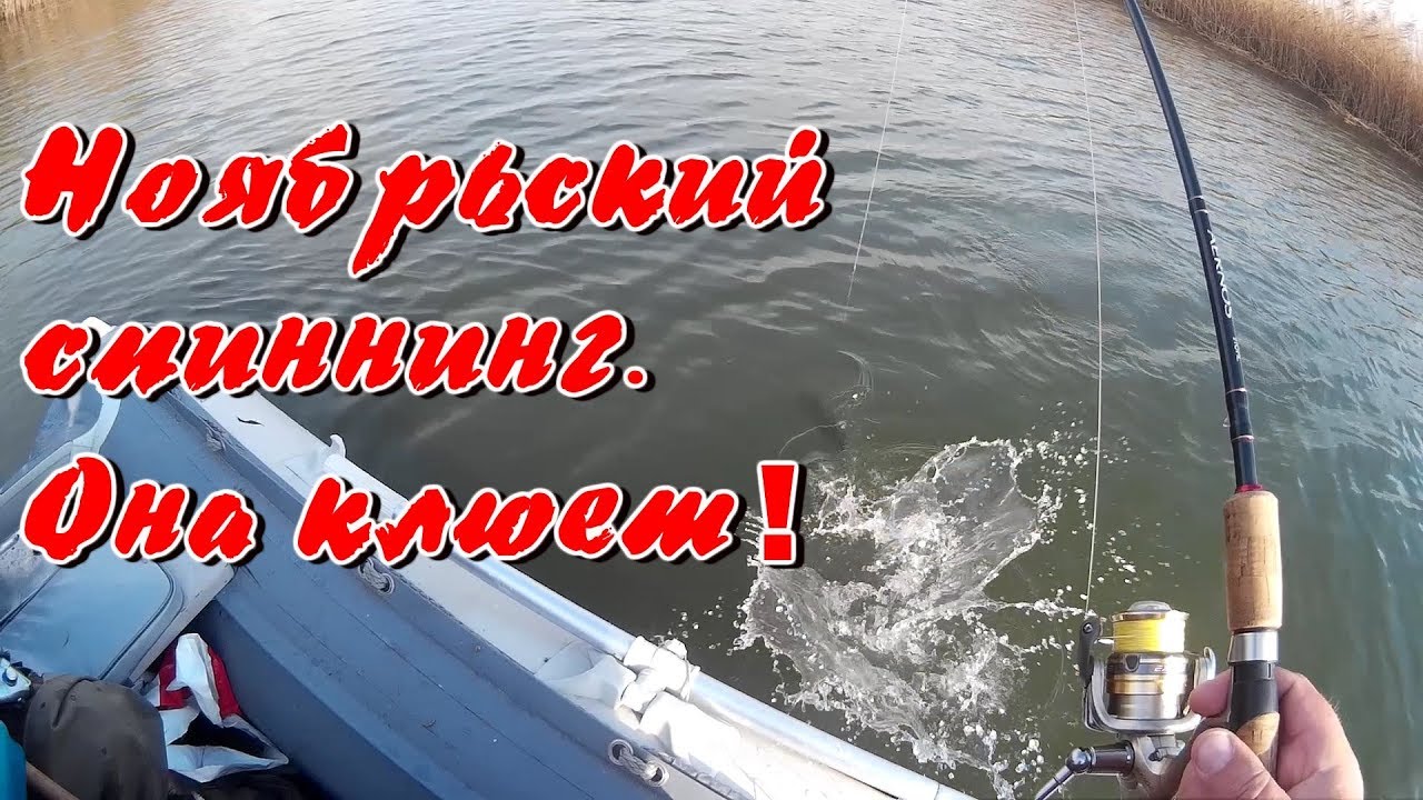 Спиннинг кайда лексус