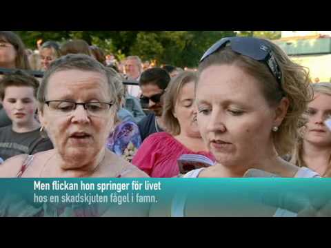 Flickan och Kråkan - Måns Zelmerlöw (Allsång på Skansen)