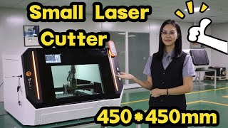 450450Mm Small Metal Laser Cutter