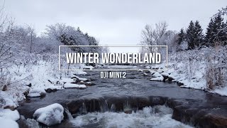 Cinematic DJI Mini 2 - Canadian Winter Wonderland in 4K