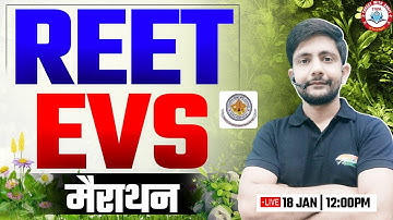REET 2025 | REET EVS Marathon #4, REET EVS Class By Ankit Sir