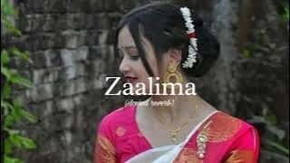 Zaalima (slow reverb) lofi song | romantic song | #song #mood #love #zamusic #alone #zaalima