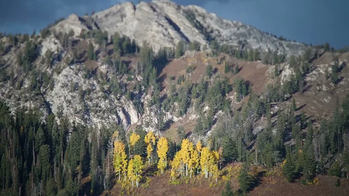 Ancient Wisdom Modern Science