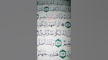ما معنى "سلم قولاً من رب رحيم"#سورة #يس